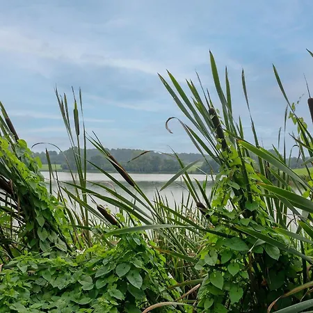 Schwedenhaus Engstroem Σπίτι διακοπών *